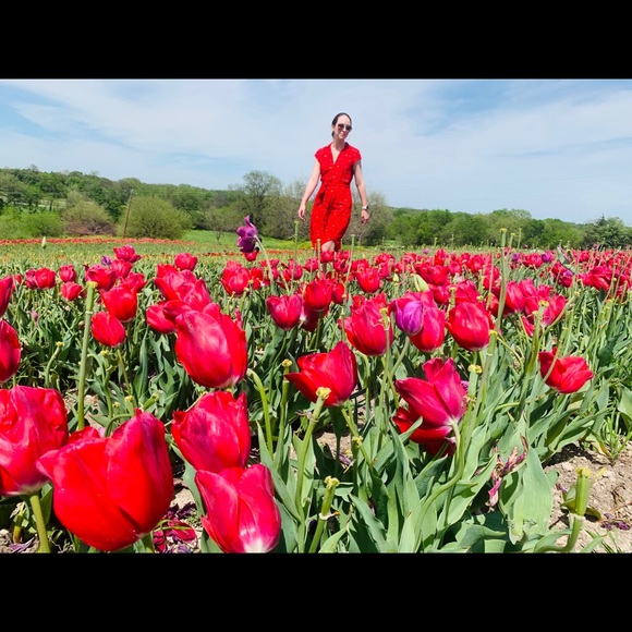 Meet your Posher, Cat - Picture 2 of 2